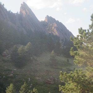 Meet your Posher, Tracey